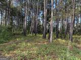 0 Oak Grove Road - Photo 33