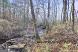 52.2 AC Franklin Parkway - Photo 11