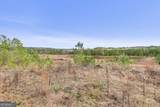 52.2 AC Franklin Parkway - Photo 36