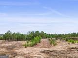 52.2 AC Franklin Parkway - Photo 39