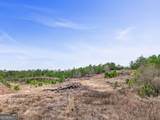 52.2 AC Franklin Parkway - Photo 42