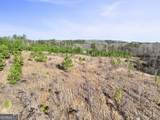 52.2 AC Franklin Parkway - Photo 55
