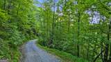 0 Elk Trail - Photo 15