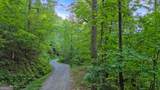 0 Elk Trail - Photo 16