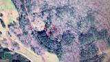 0 Autumn Circle - Photo 2