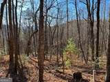 LOT #1 Forest Canopy Way - Photo 1