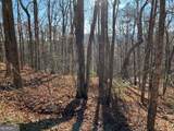 LOT #1 Forest Canopy Way - Photo 4