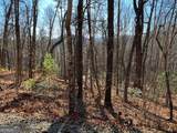 LOT #1 Forest Canopy Way - Photo 6