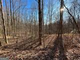 LOT #2 Forest Canopy Way - Photo 5