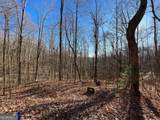 LOT #2 Forest Canopy Way - Photo 7