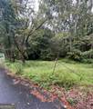 8 Poplar Street - Photo 8