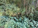 0 Broad River Road - Photo 13