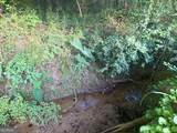0 Broad River Road - Photo 14