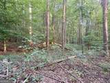 0 Broad River Road - Photo 6