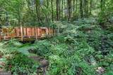 75 Juniper Trail - Photo 49