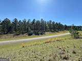 TBD LOT 99-100 Seminole Ridge - Photo 11