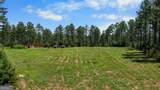3390 Pleasant Valley Road - Photo 6