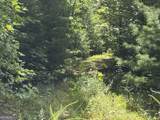 7129 Tantrough Farms - Photo 20