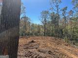 3.71 Yancy Drive - Photo 3