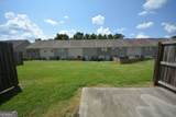 1955 Old Dogwood - Photo 4