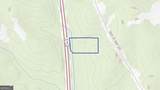 0 Highway 231 - Photo 13