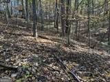 9 Dover Falls Trail - Photo 14