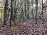 9 Dover Falls Trail - Photo 15