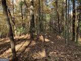 9 Dover Falls Trail - Photo 16