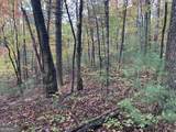 9 Dover Falls Trail - Photo 18