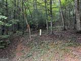9 Dover Falls Trail - Photo 3