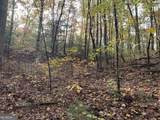 9 Dover Falls Trail - Photo 7