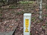 9 Dover Falls Trail - Photo 9