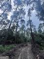 0 Cleon Shuman Road - Photo 1