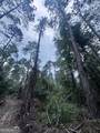 0 Cleon Shuman Road - Photo 2