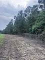 0 Cleon Shuman Road - Photo 3
