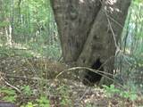 3585 Old Hwy 100 - Photo 6