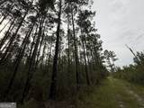 0 South River Road - Photo 27