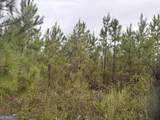 0 South River Road - Photo 38