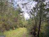 0 South River Road - Photo 40