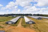 107 Black Snake Road - Photo 23