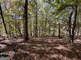 29 Forked Leaf Road - Photo 11