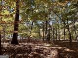 29 Forked Leaf Road - Photo 4