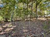 29 Forked Leaf Road - Photo 8