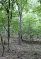 1135 Mount Moriah Road - Photo 4
