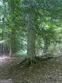 0 Hines Road - Photo 10