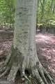 0 Hines Road - Photo 11
