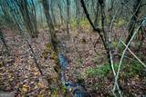 0 Hwy 166 E - 21+ Acres - Photo 16