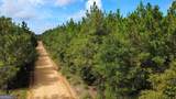 TRACT 4 A L Reeves Road - Photo 5