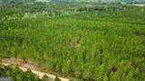 TRACT 6 Sunflower Road - Photo 4