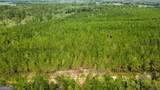 TRACT 6 Sunflower Road - Photo 5